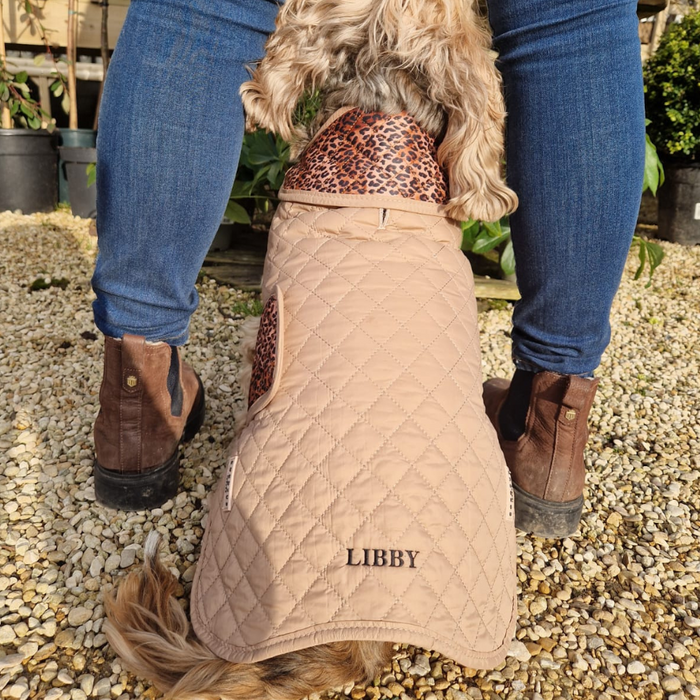Dog wearing a Cocopup London quilted leopard-print coat sits between persons legs on gravel, seen from behind.
