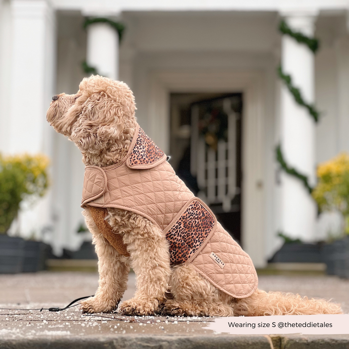Curly-haired dog wearing a Cocopup London quilted leopard-print coat sits outside a house with festive garlands.
