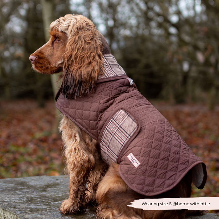 Brown and tan dog in a Cocopup London quilted plaid dog coat sits on a stone ledge outdoors in the woods.