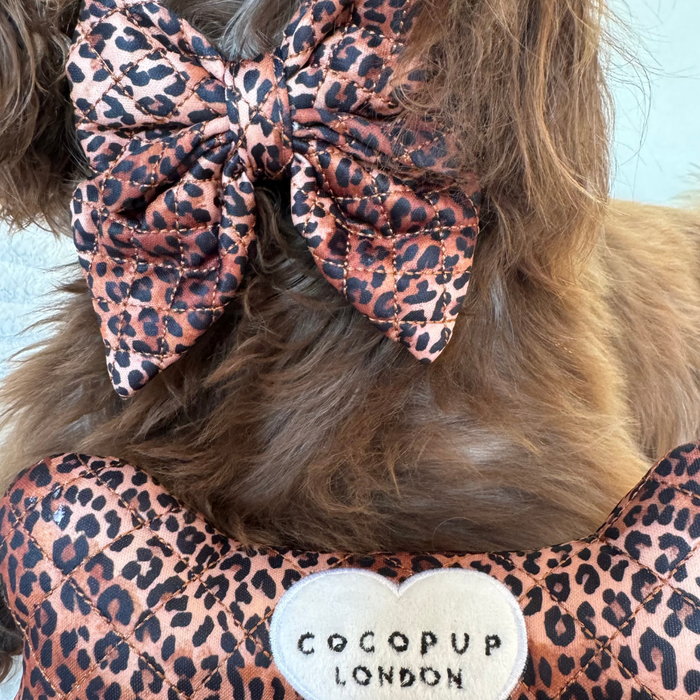 Dog in a Cocopup London quilted leopard print bow tie and matching quilted leopard jacket.