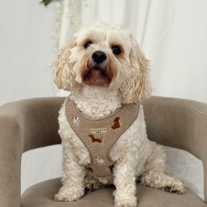Fluffy white dog on a beige chair wearing a mocha brown teddy-texture adjustable harness.