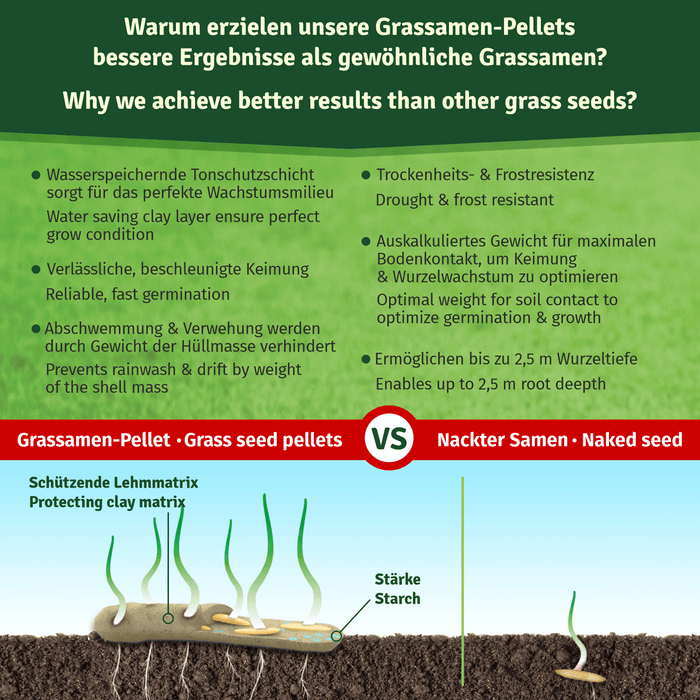 Warum Pellets besser keimen: Tonschutzschicht speichert Wasser, kein Abschwemmen, frostresistent, Wurzeln bis 2,5 m tief – Bodenquerschnitt