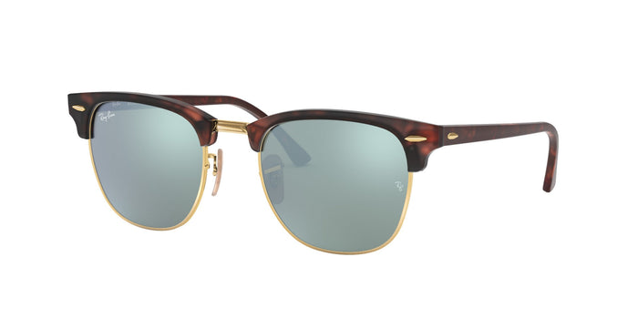 Dark Tortoise/Silver / 51