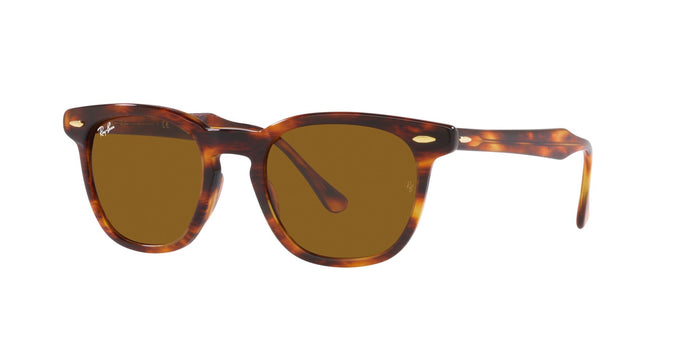 Striped Havana/Brown / 50
