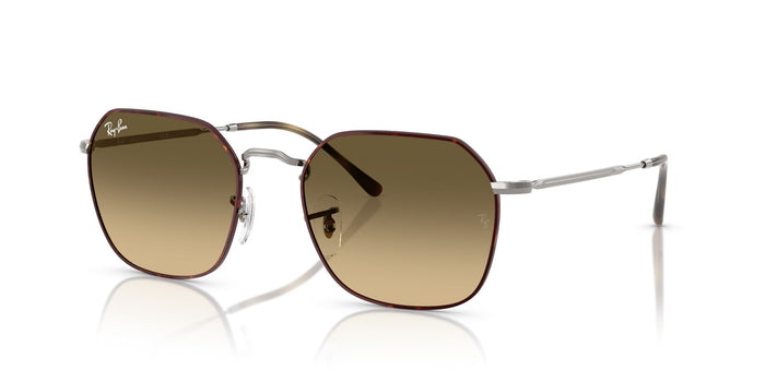 Havana On Gunmetal/Brown Vintage Black Gradient / 53