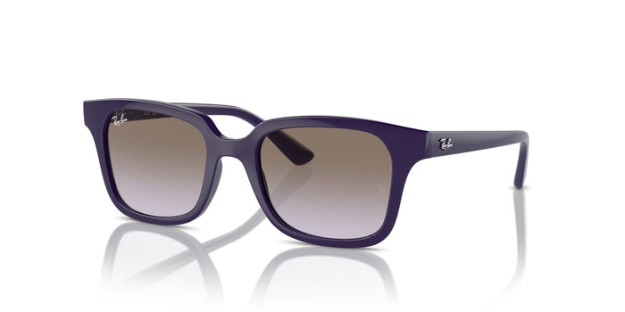 Violet/Lilac Light Grey / 48