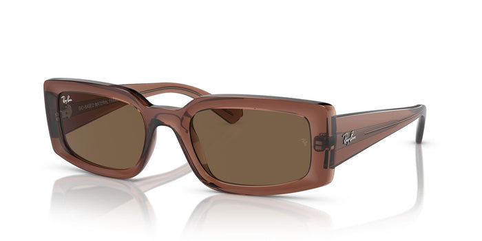 Transparent Brown/Dark Brown / 54