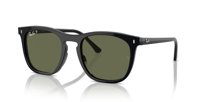 Black/Green Polarised / 53