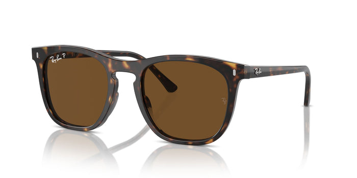Havana/Brown Polarised / 53