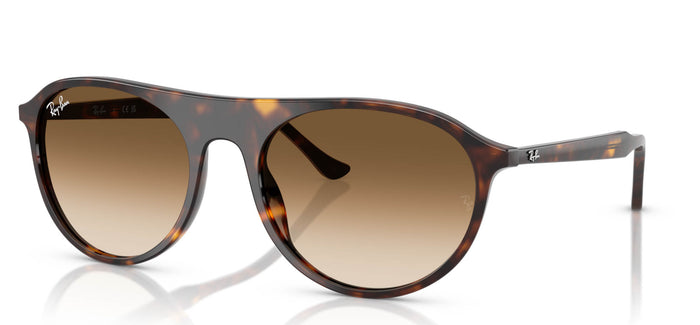 Havana/Clear Brown Gradient / 59