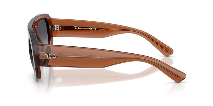Ray-Ban RB2218 #colour_brown crystal/grey gradient polarised