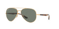 Gold/Green Polarised / 58