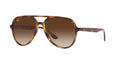 Ray-Ban RB4376 Havana/Brown Gradient #colour_havana-brown-gradient