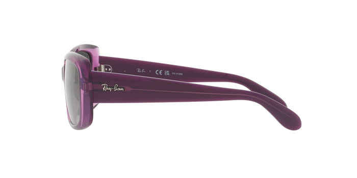 Ray-Ban RB4389 Transparent Violet/Grey Gradient Polarised #colour_transparent-violet-grey-gradient-polarised