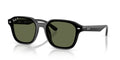 Ray-Ban RB4458D Black/Dark Green Polarised #colour_black-dark-green-polarised