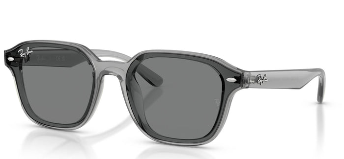 Transparent Grey/Dark Grey / 65
