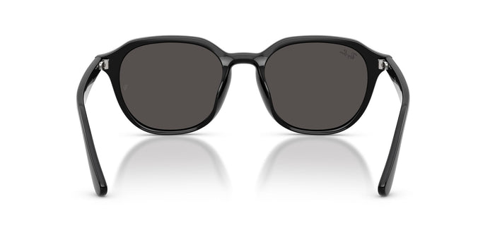Ray-Ban RB4459D Black/Dark Grey #colour_black-dark-grey