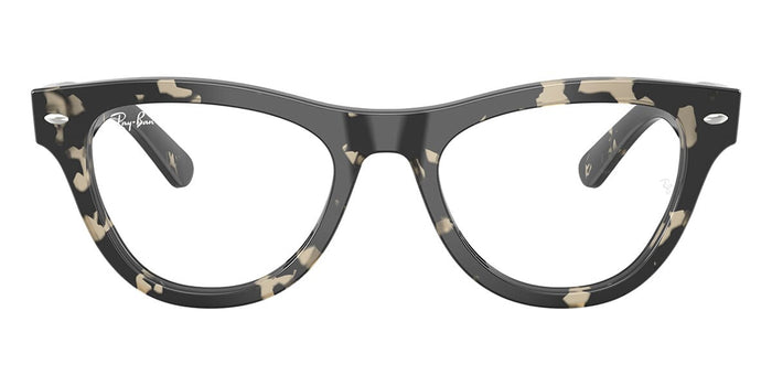 Grey Tortoise / 52
