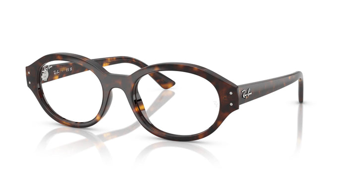 Ray-Ban Shilo RB7257 Havana #colour_havana