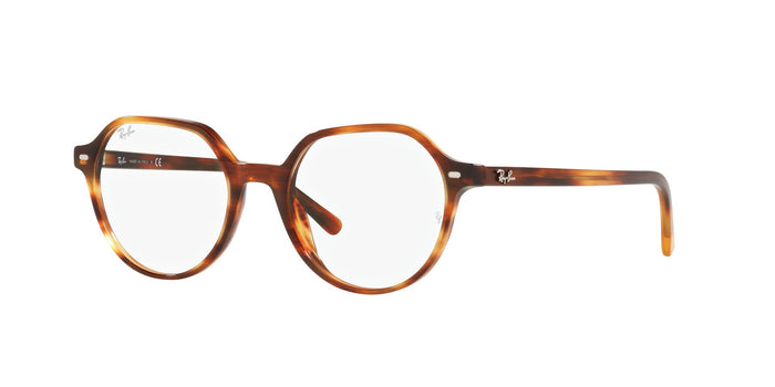 Light Tortoise / 49