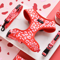 Red and pink leopard print harness, lead, and collar set on marble surface with heart-shaped confetti.