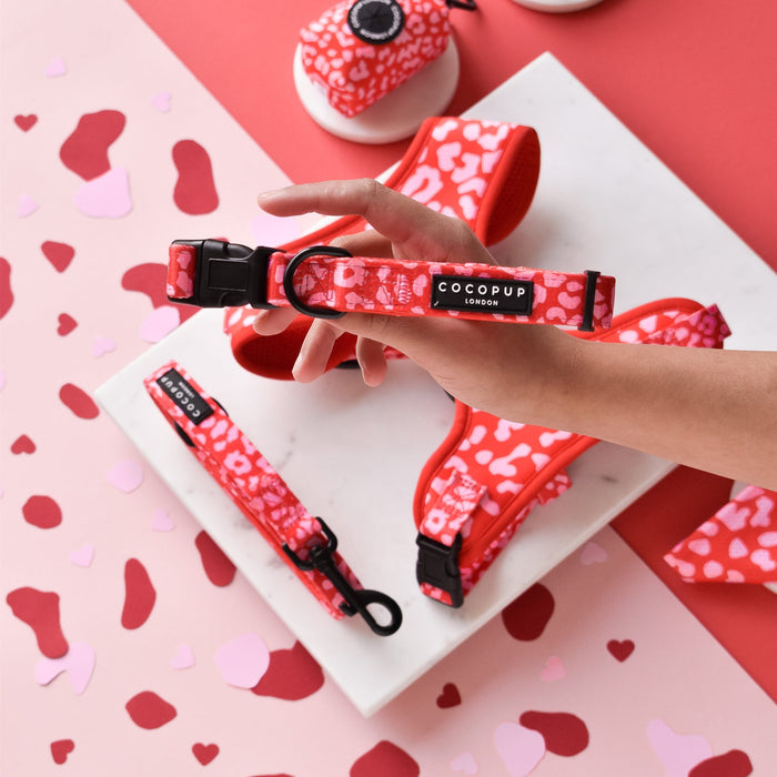 A person holding an adjustable dog collar from the Red & Pink Leopard Adjustable Neck Harness, Lead & Collar Bundle by Cocopup London. The setup includes a matching dog collar, neck harness, bandana, and poop bag dispenser laid out on a marble surface with a heart-themed background.