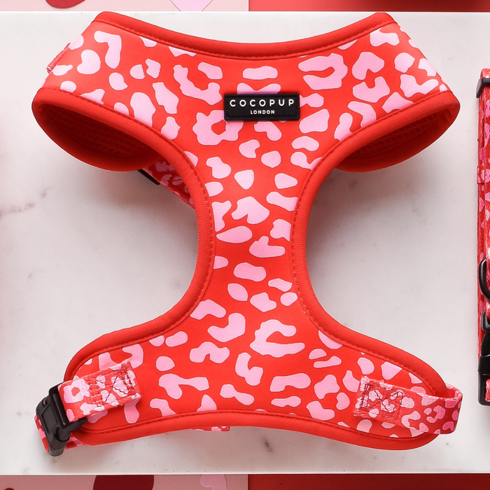 red and pink leopard print adjustable dog harness