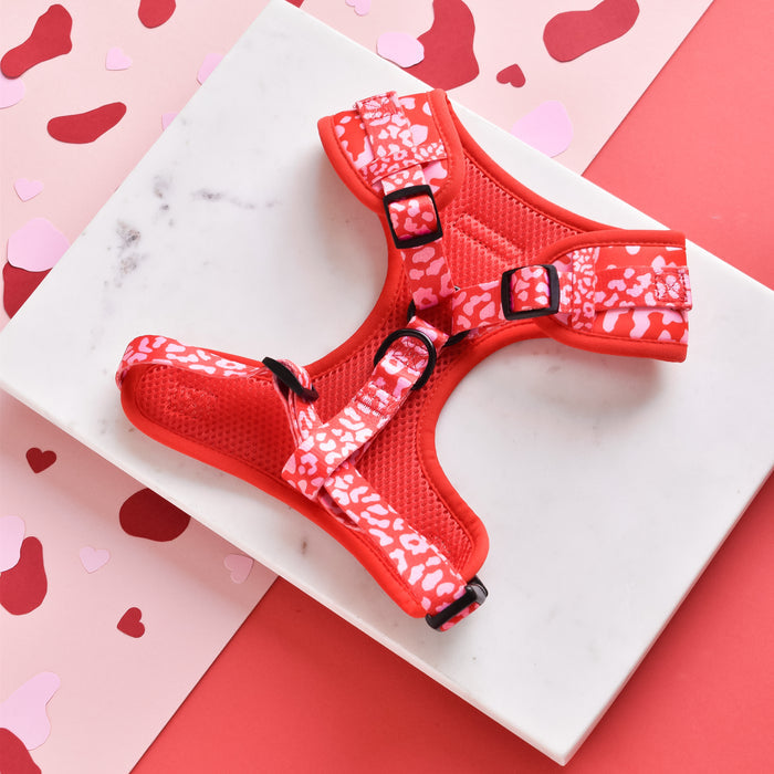 A Cocopup London Red & Pink Leopard Adjustable Neck Harness featuring a small size with white floral patterns is displayed on a white marble slab with a pink and red heart pattern background. This dog walk accessory includes black buckles, an adjustable neck harness, and mesh fabric for breathability.