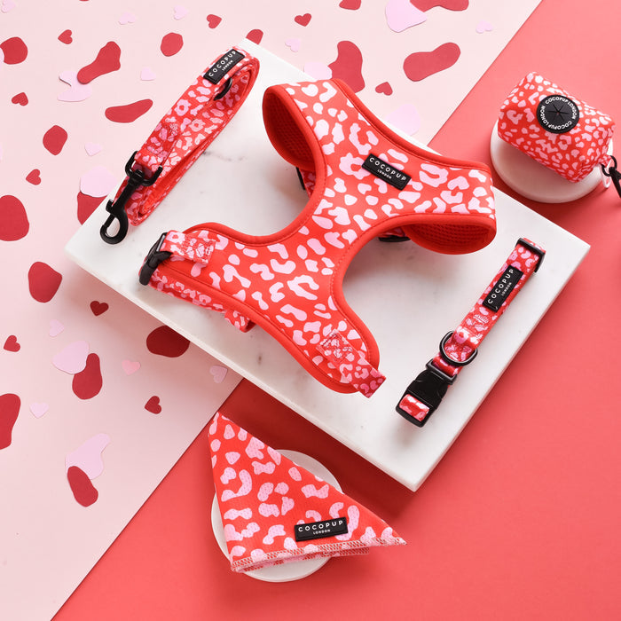 A vibrant display of red and pink heart-themed pet accessories by Cocopup London presents their Red & Pink Leopard Adjustable Neck Harness, along with a matching collar, leash, waste bag holder, and bandana. Each piece features a striking red and white animal print pattern accented with black buckles and the distinctive COCOPUP branding—ideal for any stylish dog walk.