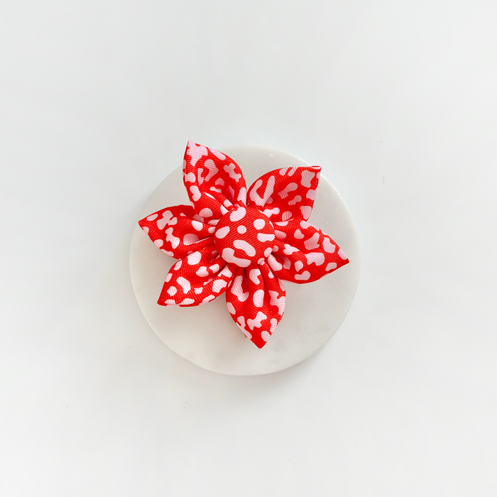 Red and pink leopard print collar flower pet accessory by Cocopup London on a white surface.