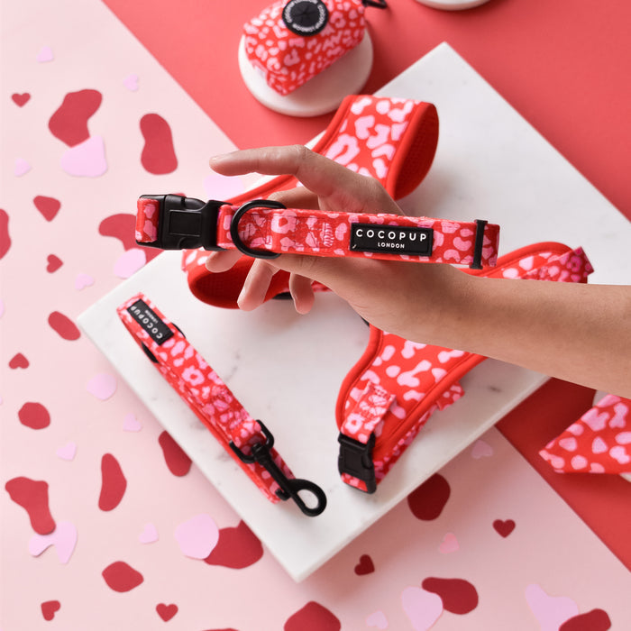 Hand holding a red and pink leopard print dog collar with hearts, alongside matching pet accessories.