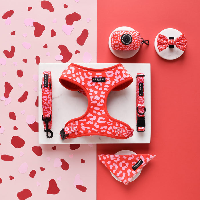 Red and pink leopard print dog collar, harness, leash, bow tie, and pouch displayed on a split color background.