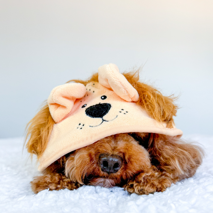 Golden doodle in a tan Cocopup London Roary the Lion drying robe and a brown bear sleep mask, lying down.