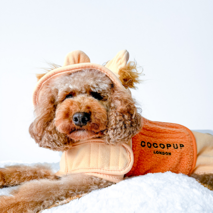 Poodle wearing a brown Cocopup London Roary the Lion hooded drying robe, lying on a white blanket.