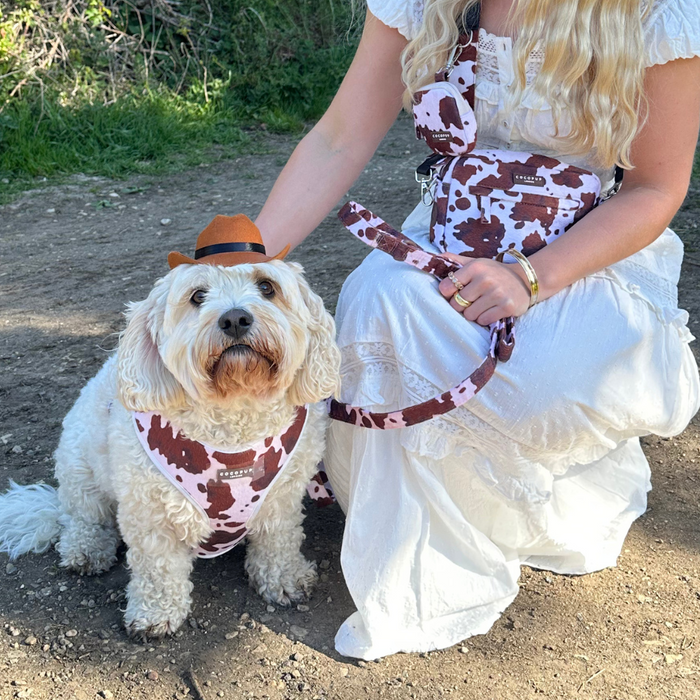 Fluffy dog wearing a tan Cocopup London Rodeo Pup Dog Hat sits next to woman in a white dress with matching accessories.