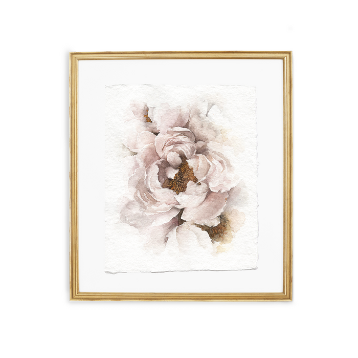 Ruffled Peony | 8x10