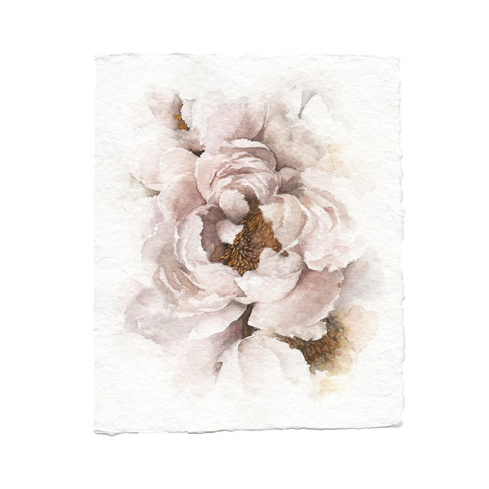 Ruffled Peony | 8x10
