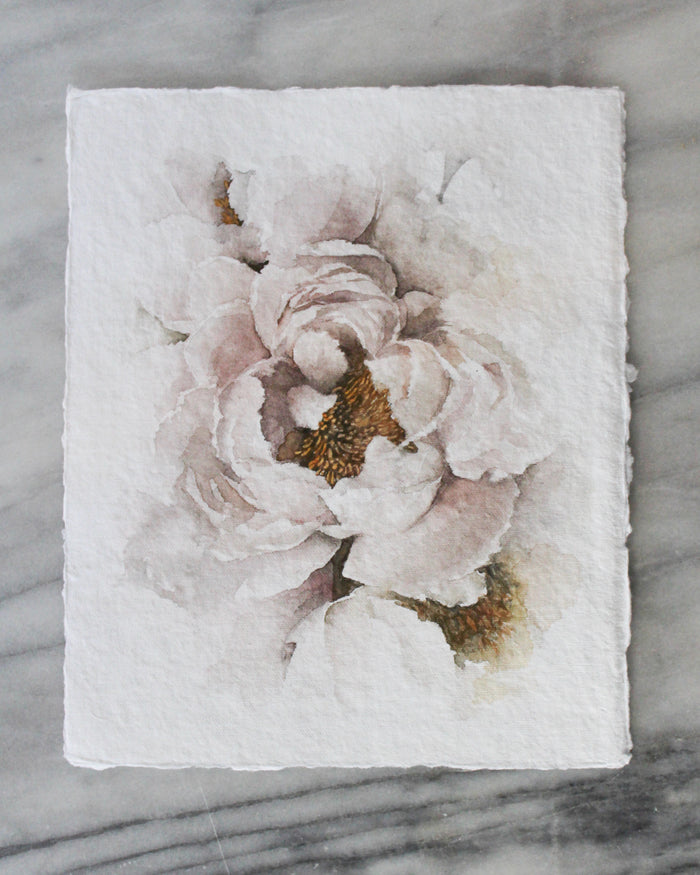 Ruffled Peony | 8x10