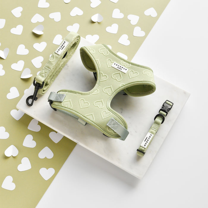 The Luxe Sage Heart Adjustable Neck Harness, Lead & Collar Bundle by Cocopup London features a light green design with heart patterns. This set includes an adjustable neck harness, a leash, and a fully adjustable collar, all in the same coordinated pattern. It comes displayed on a white marble tray against a beige background adorned with scattered white heart cutouts.