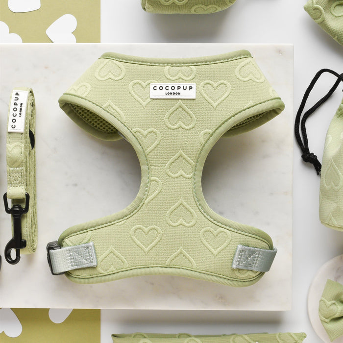 The Luxe Sage Heart Adjustable Neck Harness, Lead & Collar Bundle from Cocopup London is displayed on a white marble surface. The bundle features a sage green color with heart patterns and includes an adjustable neck harness, a fully adjustable collar, and a matching leash with a black clasp, along with other coordinating accessories.