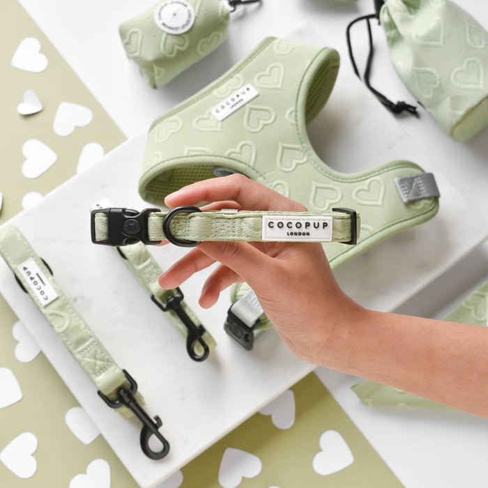 A person's hand holds the Luxe Sage Heart Adjustable Neck Harness, Lead & Collar Bundle with the label "Cocopup London" against a backdrop of matching light green dog harnesses, poop bag holders, and leashes. White heart shapes are scattered on a green surface, creating a perfect dog walking bundle.