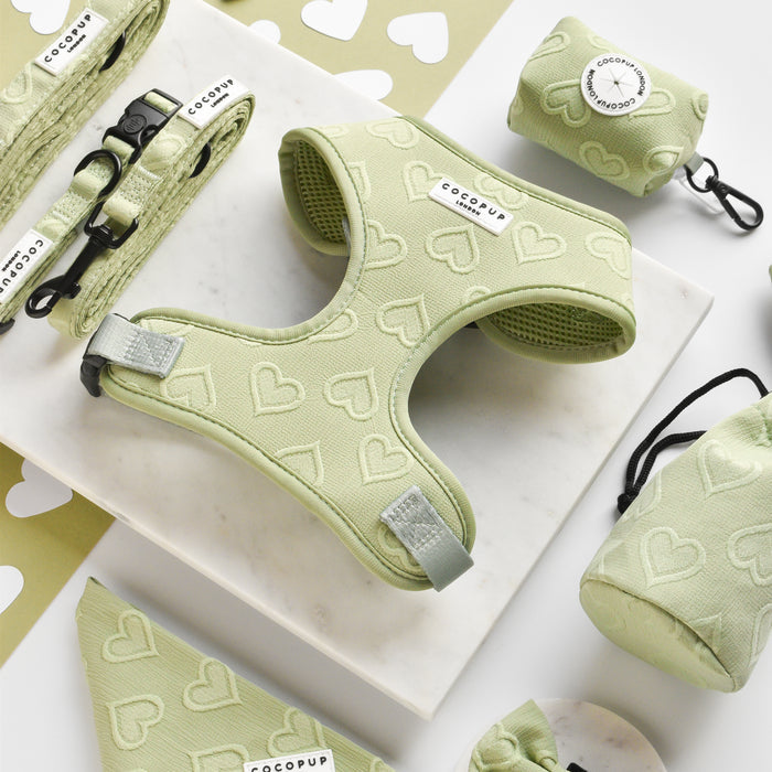 A collection of Cocopup London dog accessories, including the Luxe Adjustable Neck Harness - Sage Heart, a matching leash, poop bag holder, bandana, and other items, arranged neatly on a white surface adorned with heart patterns. Each piece showcases a delicate heart design and features the "Cocopup" label.
