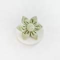 Light green six-petal dog collar flower from Cocopup London, displayed on a white background.