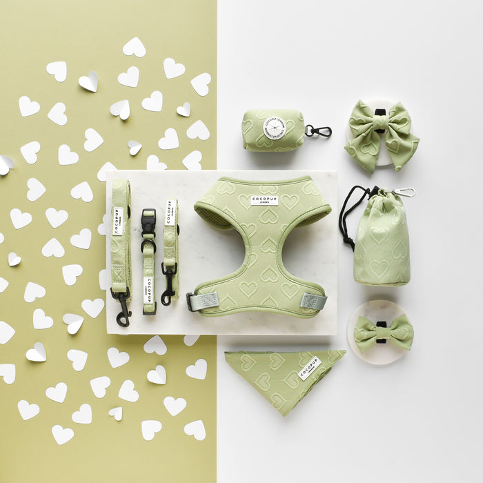 Pastel green adjustable dog collar set with bow ties, matching leash, bandana, and bag dispenser.