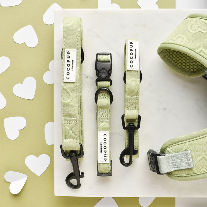 Sage green dog leash with heart pattern, Cocopup London Luxe Lead, displayed on a marble surface.