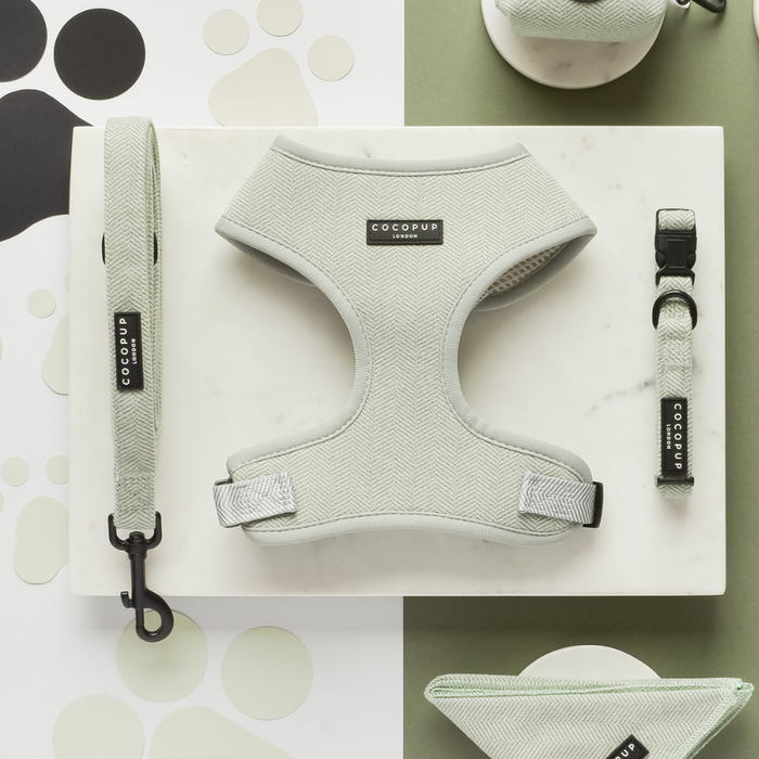 A collection of mint-colored dog accessories on a white and green background. Items include the Sage Tweed Adjustable Neck Harness, Lead, Collar, and Bandana, all featuring a herringbone pattern and labeled "Cocopup London." Explore our Lead & Collar Bundle for the perfect pet ensemble.