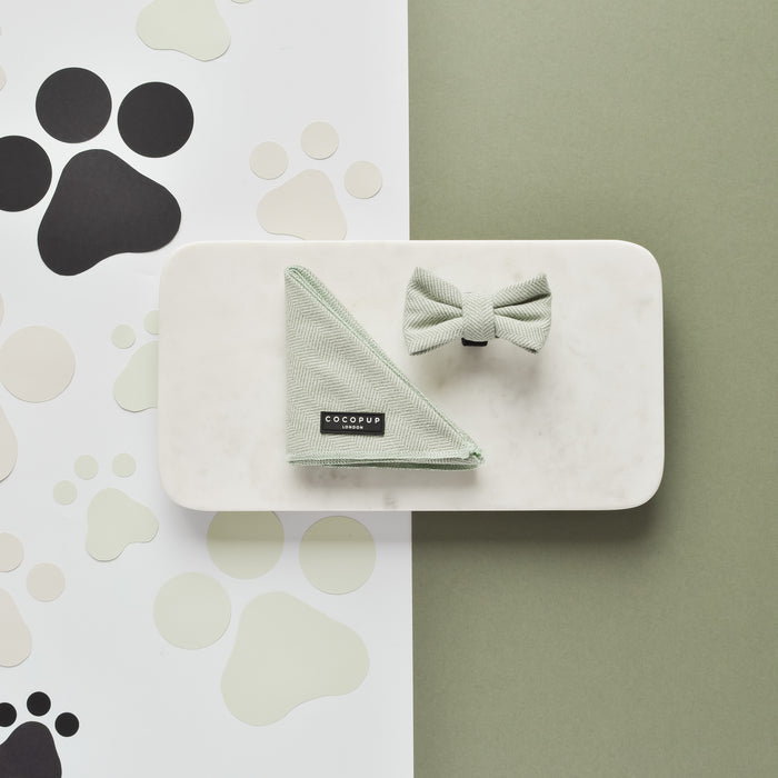 Sage green tweed bow tie and matching accessory on a white tray with a paw print background.