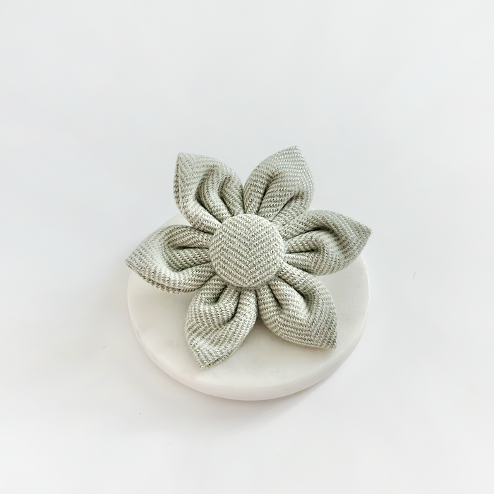 Sage tweed collar flower with six textured petals and white center on a plain white background.