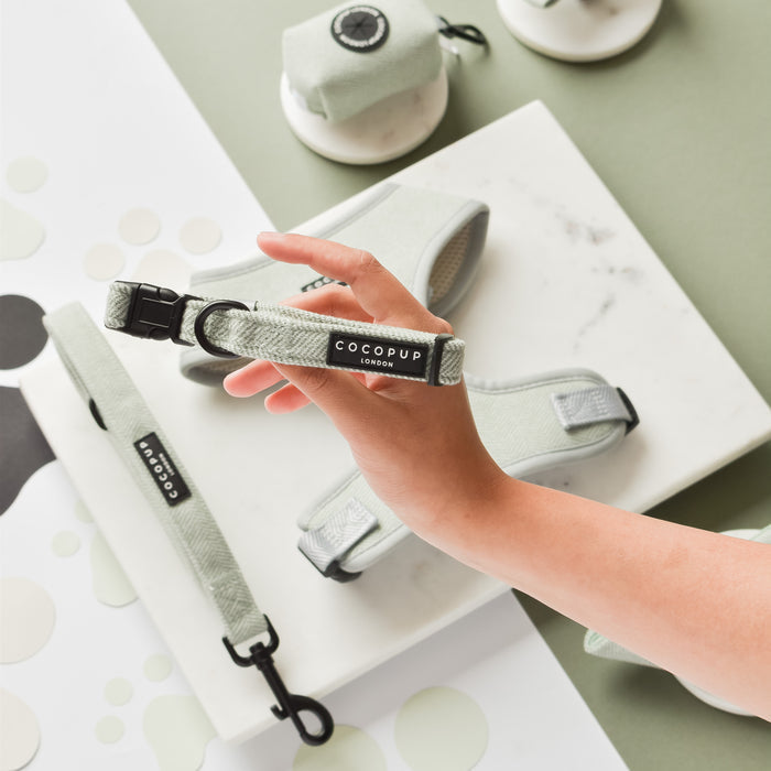 A person holds a green CocoPup London dog leash against a backdrop of matching dog accessories, including harnesses, waste bag holders, and the Sage Tweed Collar by CocoPup London. The items are arranged on a white and green surface adorned with polka dot patterns, creating a charming country style.