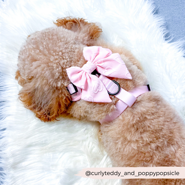 Toy poodle wearing a Cocopup London baby pink heart sailor bow tie, lying on a white fluffy blanket.